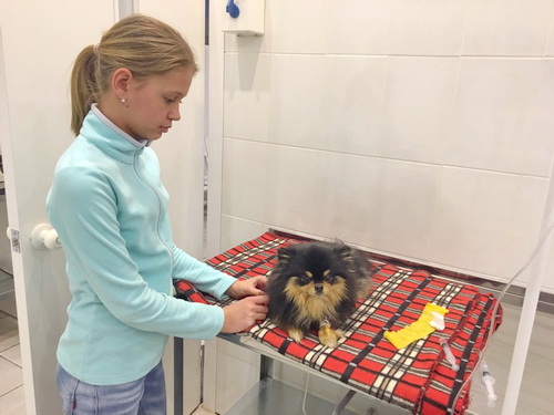 Ветеринарная Клиника в Чехове ВЕТТАЙМ